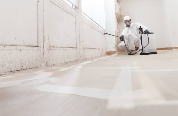 24/7 Emergency Mold Removal experts in Milltown, NJ